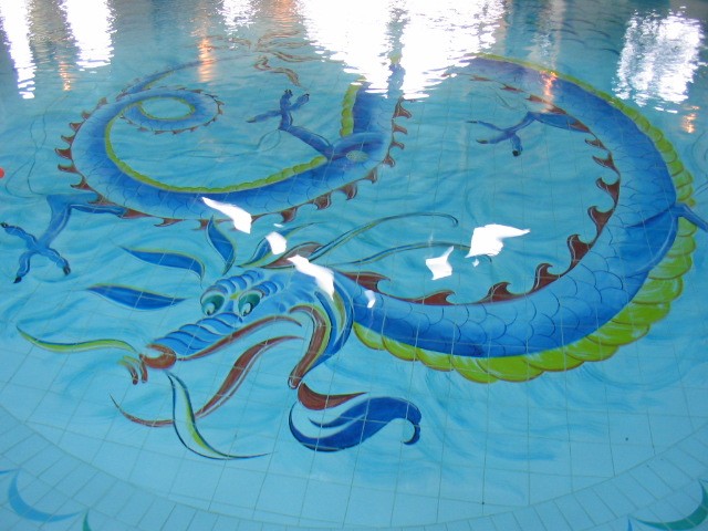 fond de piscine "dragon"
