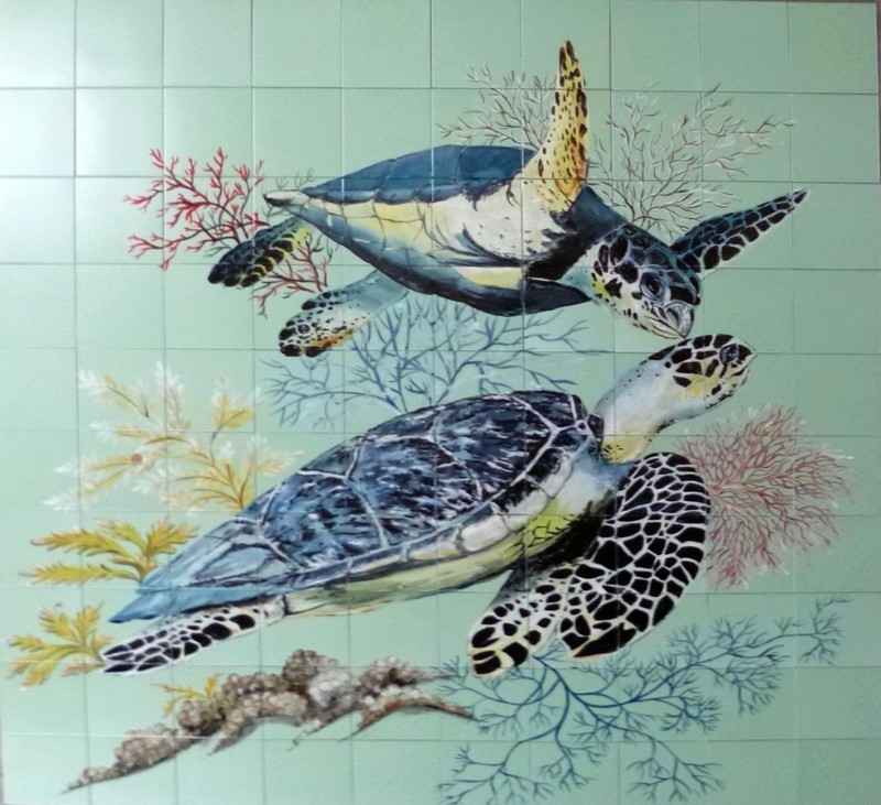 Tortues