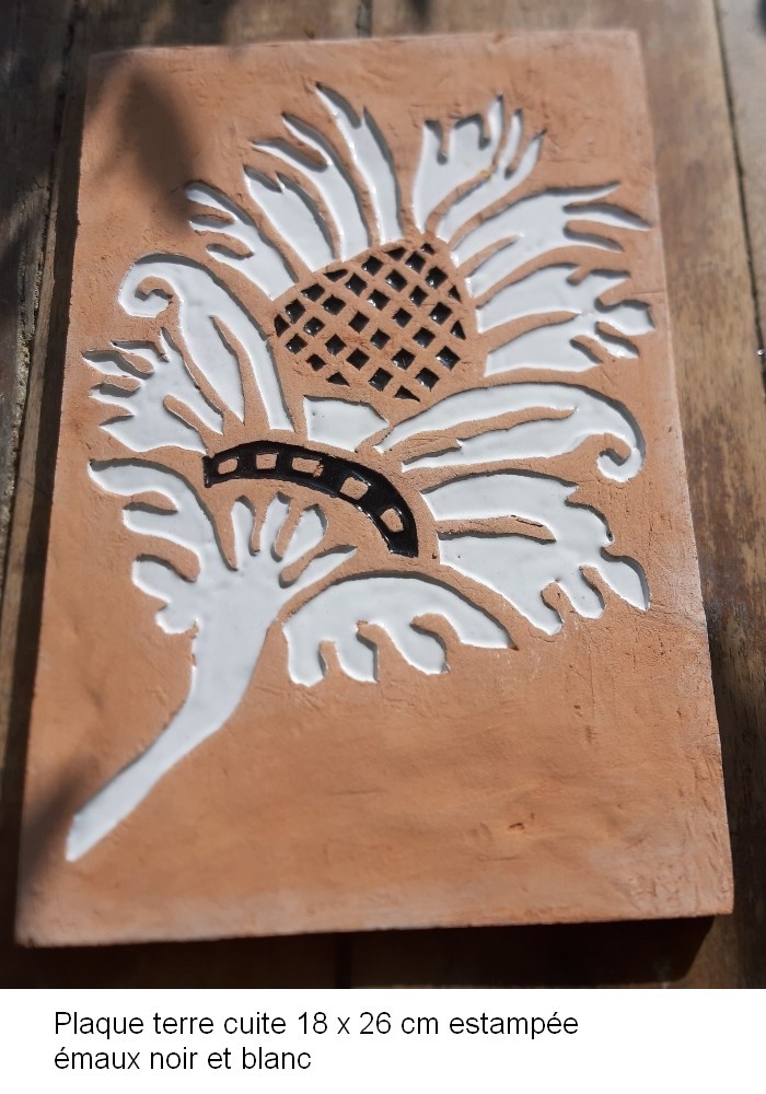 Resized 20230623 085212